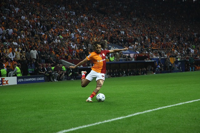 他们不仅具 他们不仅具