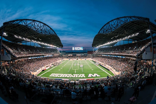 场上书写了 场上书写了