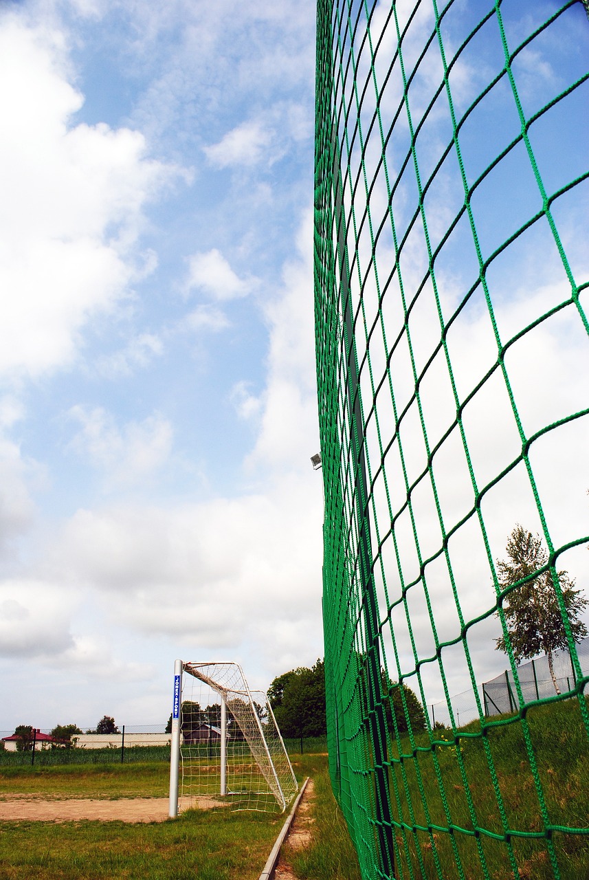 来了精彩纷 来了精彩纷