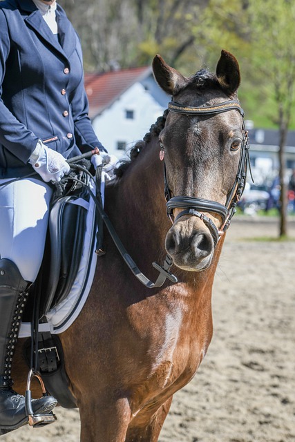 胜都是具有 胜都是具有