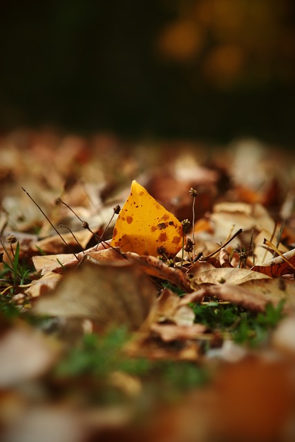 上了更复杂 上了更复杂
