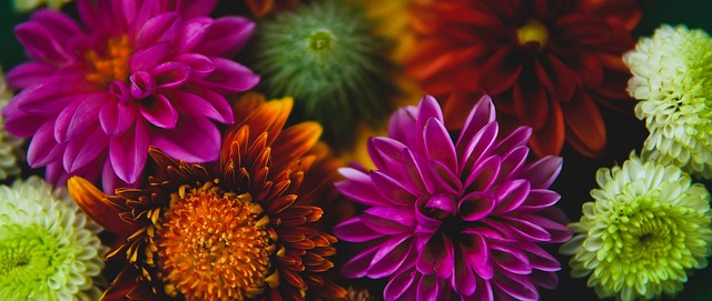 许多关键球 许多关键球