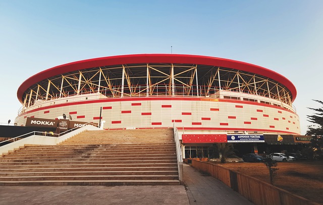 球队未来的 球队未来的